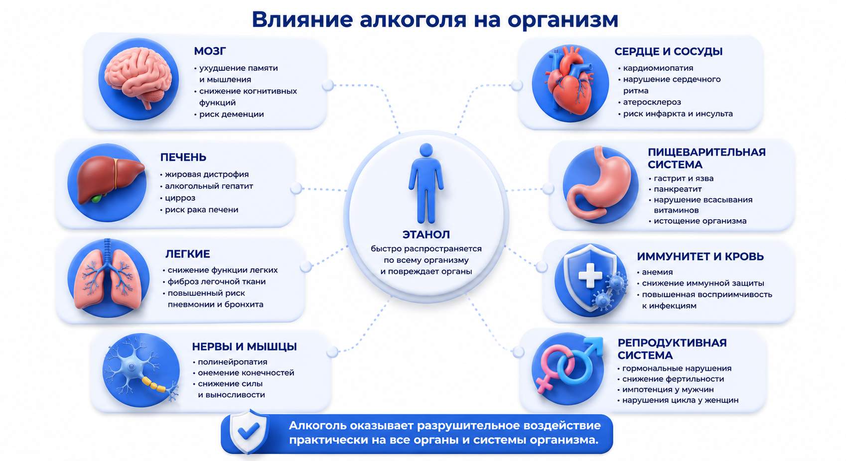 Инфографика на тему влияния этанола на организм
